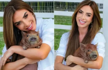 Nicole Bahls batiza porca de seu sítio com apelido de Fê Paes Leme e fala de rotina com os animais: ‘Gosto de observar’