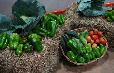 25ª Semana do Pimentão celebra importância do cooperativismo rural