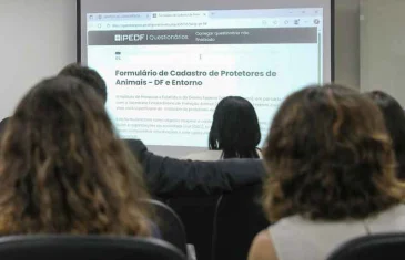 Cadastro de protetores de animais será útil para mapear demandas das entidades