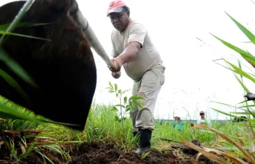 Segue para sanção projeto que facilita benefício a agricultor que perder safra
