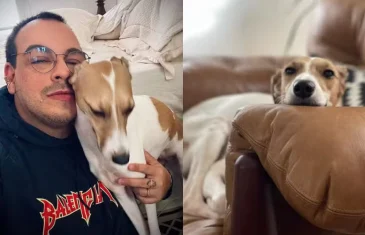 Luis Lobianco, o Freitas de ‘Vale tudo’, conta que sua cachorra se chama Odete: ‘Debora Bloch a conhece’