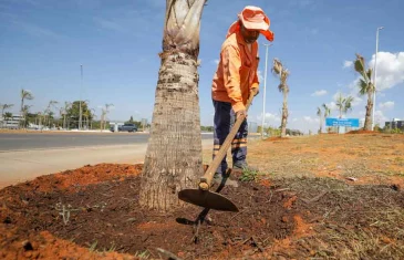 Plano de arborização amplia áreas verdes, com o plantio de mais de 12,5 mil árvores na Epig