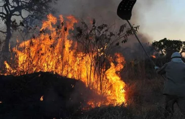 Brigadistas continuam no combate às chamas na Chapada dos Veadeiros em Goiás