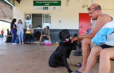 Sábado é dia de vacinar cães e gatos contra a raiva