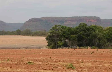 Cerrado: expansão da fronteira agrícola no Brasil