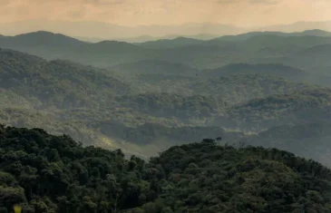 Quase metade da Amazônia Legal é formada por áreas protegidas, mostra IBGE