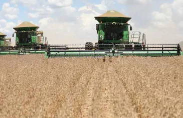 Agropecuária impulsionou oito estados a crescerem mais que o Brasil em 2023