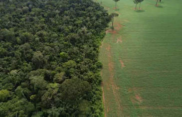 IBGE: Mata Atlântica perde 1% de área e Cerrado ganha 1,8%