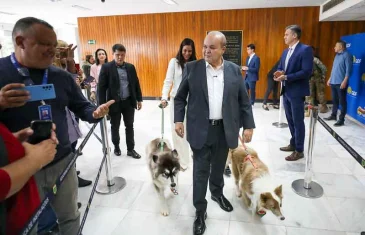 GDF cria política inédita de apoio aos protetores de animais com cartões Ração e Castração