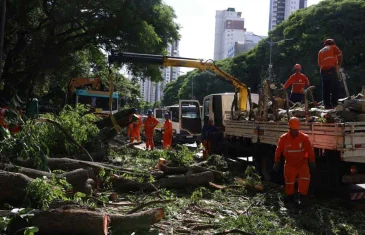 São Paulo tem 1,5 milhão de clientes sem energia após ventania