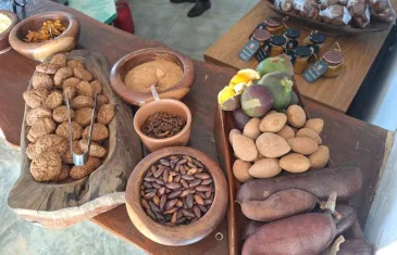 Projeto inclui frutos do Cerrado na alimentação escolar no DF