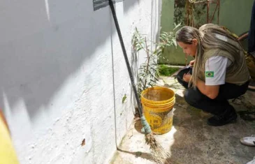 Distrito Federal teve redução de 96% nos casos prováveis de dengue em 2025