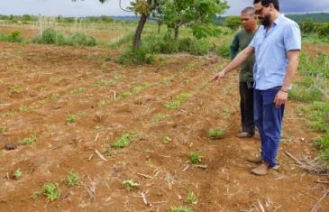 Assistência técnica no DF ajuda a aumentar o número de produtores com certificação orgânica
