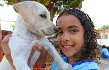 Projeto incentiva adoção de animais por escolas públicas