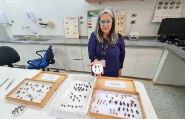 Surto de doença de Chagas preocupa moradores de Ananindeua, no Pará