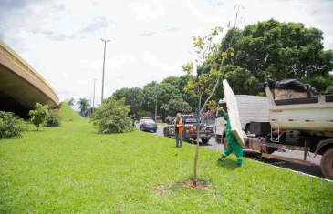 Sudoeste e Cruzeiro recebem ação de acolhimento da pessoa em situação de rua
