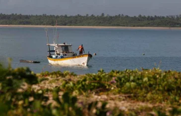 Saiba o que muda para o Brasil com o Tratado do Alto-Mar