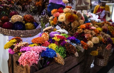 Secretaria define o calendário da feira de artesanato Raízes do Entorno