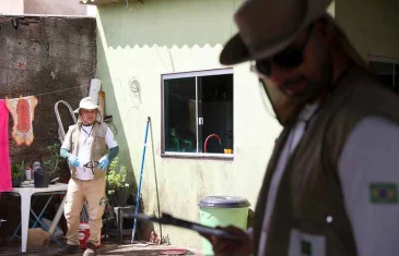 Saúde monitora mosquitos com bactéria para combate à dengue no DF