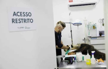 Hospital da Fauna Silvestre atendeu mais de 5 mil animais em dois anos de funcionamento