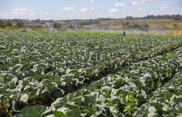 Projeto Mulheres no Campo abre inscrições para 100 vagas de cursos de qualificação