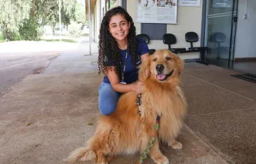 Saiba como adotar cães resgatados na Zoonoses do DF